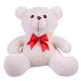 Imagem de Urso Ursinho De Pelúcia Antialérgico Teddy 36cm Com Laço - Barros Baby Store