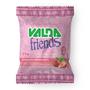 Imagem de Valda Friends Pastilhas - 25g