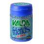 Imagem de Valda Friends (pote de 50gr) - Valda