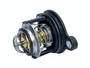 Imagem de Valvula Termostatica Ka 1.0 3CC 2014 2015 2016 2017 2018 2019 2020 Original Ford