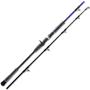 Imagem de Vara Vert Jig 1,60M Jig160-260G Jignesis Xfb-B53M Carretilha