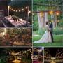 Imagem de Varal de Lâmpadas 30mt 30 lâmpadas 15w 110v Incandescente cada metro Iluminação Festa Casamento