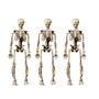 Imagem de Varal Esqueleto Halloween 8pc 6m - Plástico Resistente