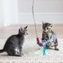 Imagem de Varinha Fatcat Worm Wand Minhoca Com Catnip Para Gatos