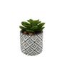 Imagem de Vasinho de concreto com suculenta de plástico Decor Flor