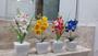Imagem de Vasinhos De Flores Plantas Artificiais Decorativo 