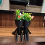 Imagem de Vaso 3D Abraço Suculentas Decoração 15Cm Robert Plant
