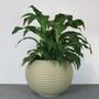 Imagem de Vaso Bromelia 32x32 Cm Granito Areia Resistente Leve Vasart