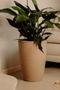 Imagem de Vaso Cone Texturizado em Polietileno Escovado Planta Flor