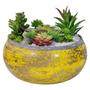 Imagem de Vaso Cumbuca Terrário Charmoso Amarelo Rústico Com Suculenta
