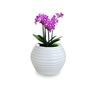 Imagem de Vaso D Planta Pequeno Decorativo Polietileno 15X20 Cm Branco