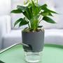 Imagem de Vaso De Flores De Plástico Transparente De Dupla Camada Com Autoirrigação, Corda De Algodão E Porta
