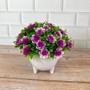 Imagem de Vaso de Flores Plantas Artificiais Decorativas - Arranjo