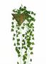 Imagem de Vaso de Parede com Planta Artificial Inclusa