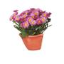 Imagem de Vaso De Parede G Kit Com 10 - Jardim Vertical Orquidea Vaso Meia Lua Horta Suculenta