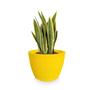 Imagem de Vaso De Planta Cônico Decorativo Polietileno R 30X40 Amarelo