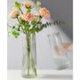 Imagem de Vaso de Vidro Cilíndrico Decorativo Plantas Flores 20cm