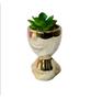 Imagem de Vaso Decorativo Com Suculenta Artificial 6.5x7x11cm