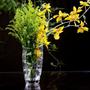 Imagem de VASO DECORATIVO ENFEITE CASA VIDRO 19x9x9cm TRANSPARENTE