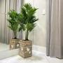 Imagem de Vaso Decorativo Retangular Charlote  Ddekcor 61Cm