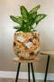 Imagem de VASO EM METAL LAMMIE SIGNATURE COTTON CREAM 15x17cm