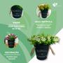 Imagem de Vaso Garden Flowers com Eucalipto com Florzinha