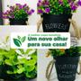 Imagem de Vaso Garden Flowers com Eucalipto com Florzinha