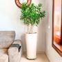 Imagem de Vaso Grande Decorativo De Polietileno Para Plantas E Flores 79 x 44 cm - Bege