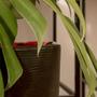 Imagem de Vaso moderno de polietileno para plantas com furo e prato