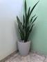 Imagem de vaso para decoração plantas naturais artificiais em polietileno tipo coluna redondo