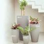 Imagem de Vaso para Plantas Artificiais Areia 3un 70,50 e 30cm  Vietnamita