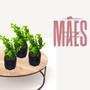 Imagem de Vaso Para Plantas Mini Suculentas - Sem Plantas