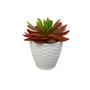Imagem de Vaso Rattan Cachepo Redondo M3 Kit Com 10 Mini Suculenta Violeta