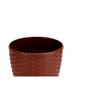 Imagem de Vaso Rattan.Grande Coffee-0517