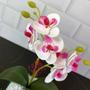 Imagem de Vaso Transparente com Arranjo Flor de Orquídea Artificial