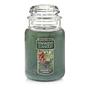 Imagem de Vela Grande Yankee Candle Balsam & Cedar