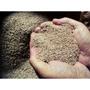 Imagem de Vermiculita expandida fina premium para substrato 10 Litros