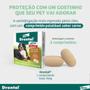 Imagem de Vermífugo Bayer Drontal Plus Sabor Carne para Cães de até 35kg - 2 Comprimidos