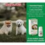 Imagem de Vermífugo Chemital Puppy Para Cães Filhotes Frasco Com 20 Ml