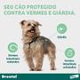 Imagem de Vermífugo Drontal Plus para Cães de Até 10 kg