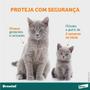 Imagem de Vermífugo Drontal SpotOn para Gatos de 5 Kg a 8 Kg 1 Bisnaga