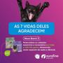 Imagem de Vermífugo Para Gatos Banni 3 Ouro Fino 90ml