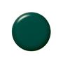 Imagem de Verniz de unhas Sally Hansen Color Therapy Bliss Serene Green 15mL