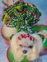 Imagem de Vestido Pet de Natal Roupinha Cachorro Pequenos Pisncher Shihtzu