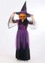 Imagem de Vestido Traje Fantasia Infantil Halloween Dia das Bruxas Roxo + Chapéu COD.000479