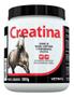 Imagem de Vetnil Creatina 500 G Suplemento