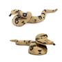 Imagem de Vida Selvagem Realista Jungle Animal Action Figures Modelo Playset Fake Snake Model Party Favores Suprimentos Bolo Toppers Set Brinquedos para Meninos Meninas Criança (4 PCS)