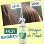 Imagem de Vinagre de Maçã 200 ml Restaura os Fios Danificados Anti Frizz Sela Cutícula Capilar Regula PH Combate Ponta Dupla Brilho Protetor Térmico Lizz ante