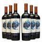 Imagem de Vinho Altair Sideral  Kit com 6 Garrafas  Oferta