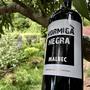 Imagem de Vinho Argentino HORMIGA NEGRA Malbec 750ml